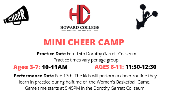 Read more about the article Mini Cheer Camp