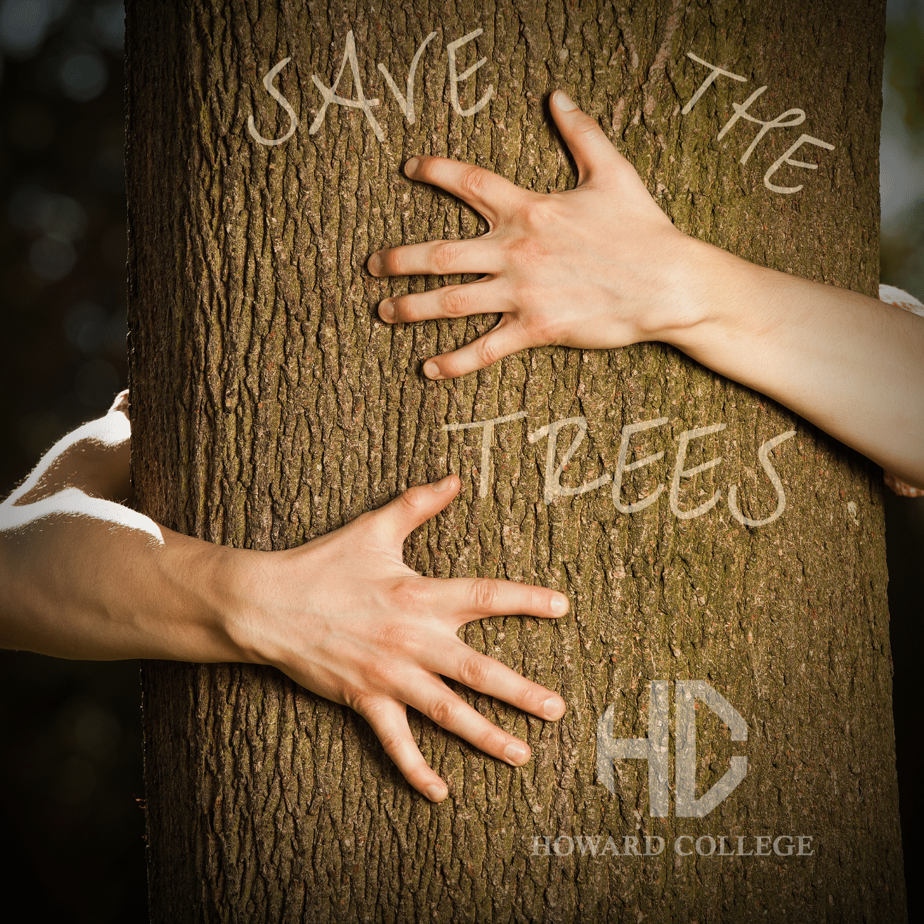 Read more about the article Episode 6 – Save the Trees!